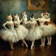 Cat Ballet Photograph by Andrea Kollo Cat Ballet Photograph by Andrea Kollo