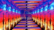 Cat in the Hall of the Silhouetted Cacti Sunsets Photograph by Judy Kennedy