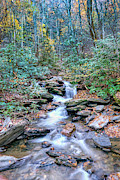 Catawba Falls Fall Beauty Photograph by Amy Dundon