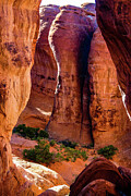 Cathedral Arches National Park Utah Photograph by Tommy Farnsworth