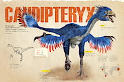 Caudipteryx Digital Art by Album