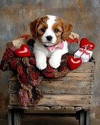 Cavalier Valentine Charm Digital Art by Ben Tomball
