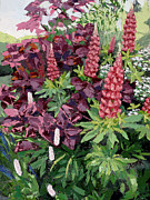 Cawdor Castle Lupins, 2015 Painting by PJ Kirk Cawdor Castle Lupins, 2015 Painting by PJ Kirk