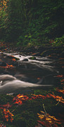 Cedar Creek Spice Right Side Photograph by Darren White