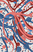 Celebration Improvisation Digital Art by Bentley Davis Celebration Improvisation Digital Art by Bentley Davis