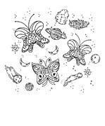 Celestial Butterfly Night Sky Line Art Galaxy Butterfly Lover Digital Art by Toms Tee Store