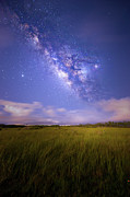 Celestial Summer Photograph by Mark Andrew Thomas Celestial Summer Photograph by Mark Andrew Thomas