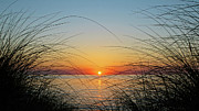 Center Stage Sunset Photograph by Kathi Mirto