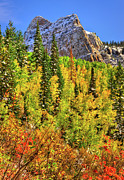 Changing Seasons, Sundial Peak Vertical Photograph by Abbie Matthews Changing Seasons, Sundial Peak Vertical Photograph by Abbie Matthews
