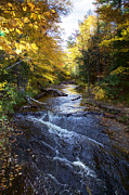 Chapel Creek Photograph by Alberto Audisio
