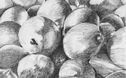 Charcoal Drawing of Lemons Drawing by Elizabeth Adkins