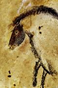 Chauvet Horse Digital Art by Weston Westmoreland