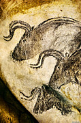 Chauvet - Three Aurochs Digital Art by Weston Westmoreland