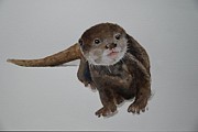 Cheeky Watercolor Otter Painting by Shelly Pritchard