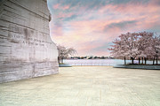 Cherry Evening Photograph by C Renee Martin Cherry Evening Photograph by C Renee Martin