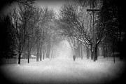 Chicago Blizzard - Holga Photograph by Frank J Casella
