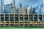Chicago Reflections from Water Photograph by Sharon Popek