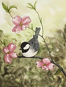 Chickadee Painting by Carol Crockett