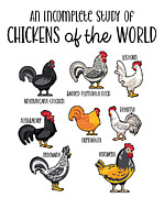 Chickens Of The World Digital Art by Toms Tee Store