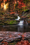Childs Park Autumn Falls Photograph by Susan Candelario Childs Park Autumn Falls Photograph by Susan Candelario