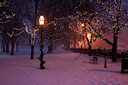 Christmas Lights on Salem Common Photograph by Jeff Folger