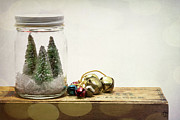 Christmas Photograph by Cindy Shebley Christmas Photograph by Cindy Shebley