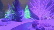 Christmas Lights1 Photograph by Mark Jackson Christmas Lights1 Photograph by Mark Jackson