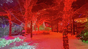 Christmas Lights3 Photograph by Mark Jackson Christmas Lights3 Photograph by Mark Jackson