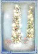 Christmas Magic Photograph by Marilyn Cornwell