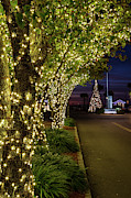 Christmas on Centre Street, Fernandina Beach, Florida Photograph by Dawna Moore Photography