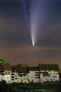 Christmas Star Photograph by Ralf Rohner Christmas Star Photograph by Ralf Rohner