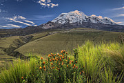 Chuquirahua and Chimborazo volcano at dawn Photograph by Henri Leduc