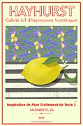 Citron Digital Art by Steve Hayhurst