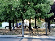 City Park Late Spring Photograph by Richard Thomas