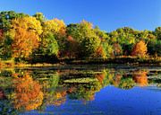 Clark Pond - Auburn New Hampshire Photograph by Erin Paul Donovan Clark Pond - Auburn New Hampshire Photograph by Erin Paul Donovan