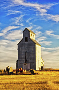 Classic grain elevator Photograph by Tatiana Travelways Classic grain elevator Photograph by Tatiana Travelways