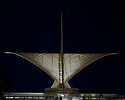 Close-Up Night Photograph by Deb Beausoleil