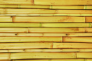 Close Up Of The Bamboo Texture Background Photograph by Severija Kirilovaite