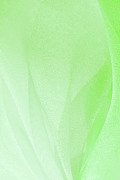 Close Up Of The Green Organza Fabric Texture Photograph by Severija Kirilovaite