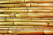 Close Up Of The Natural  Bamboo Texture Background Photograph by Severija Kirilovaite