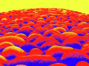 Close Up To A Rock Wall, Bright Red, Yellow, And Dark Blue Digital Art by David Desautel Close Up To A Rock Wall, Bright Red, Yellow, And Dark Blue Digital Art by David Desautel