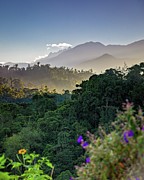 Cloud forest layers at sunrise Photograph by Henri Leduc