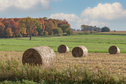 Clouds, Corn, and Colors Photograph by Amfmgirl Photography