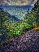 Clouds over the Smokies Photograph by Evan Foster