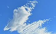 Clouds Photograph by Ron Roberts