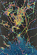 Coalescence Painting by James W Johnson