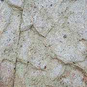 Coastal Abstract Photograph by Shankar Adiseshan