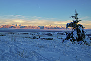 Cold sunset Photograph by Thomas Nay Cold sunset Photograph by Thomas Nay