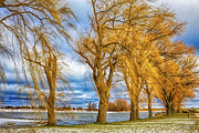 Cold windy day Photograph by Tatiana Travelways