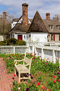 Colonial Town in March Photograph by Rachel Morrison